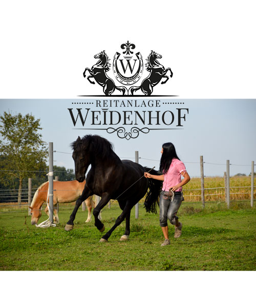 Reitanlage WEIDENHOF Weisskirchen